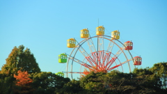 観覧車