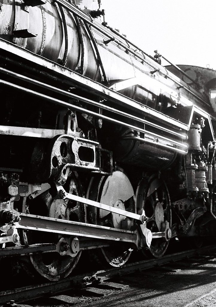 D51