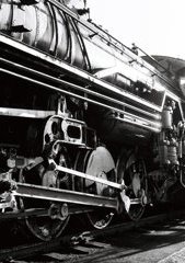 D51