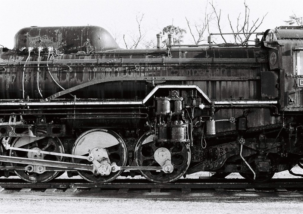 D51