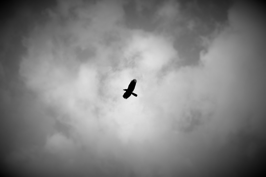黒点
