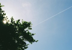 Summer sky and contrail