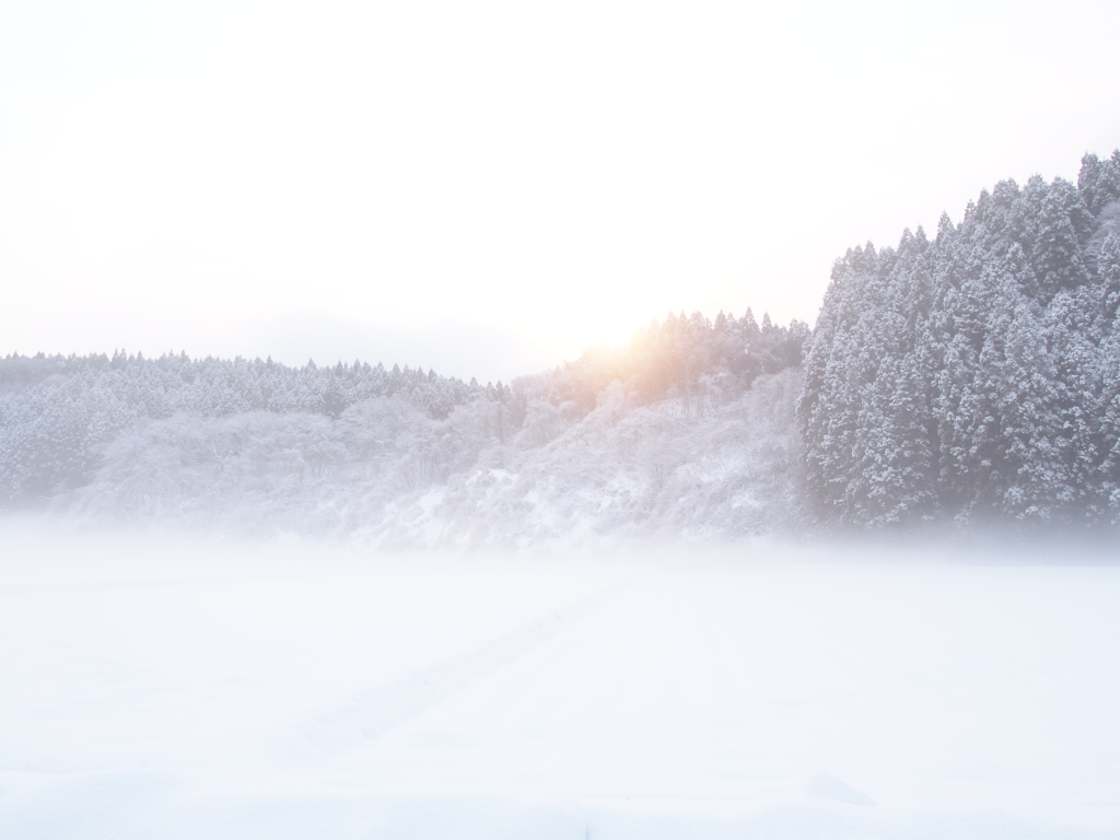 Winter morning