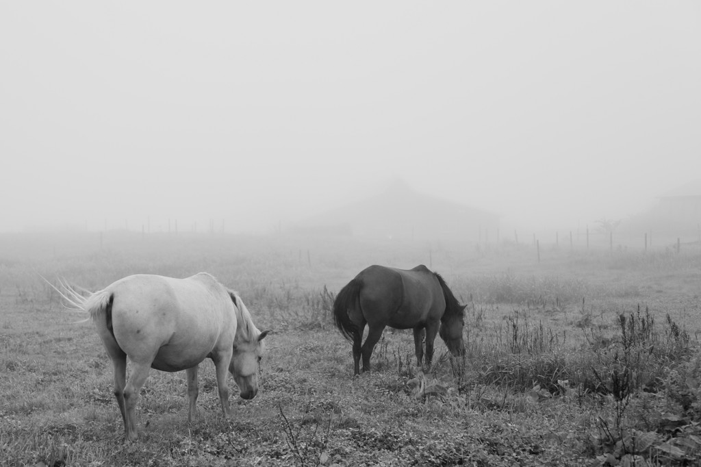 The world where is filled with the fog　５
