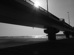 Sunlight