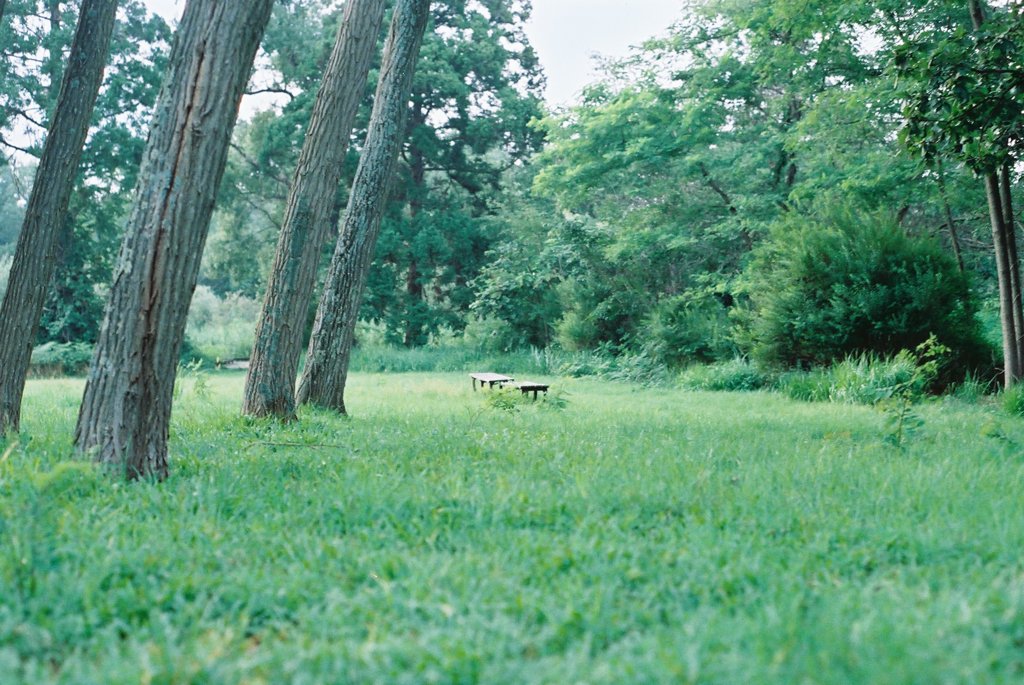 ５月のベンチ