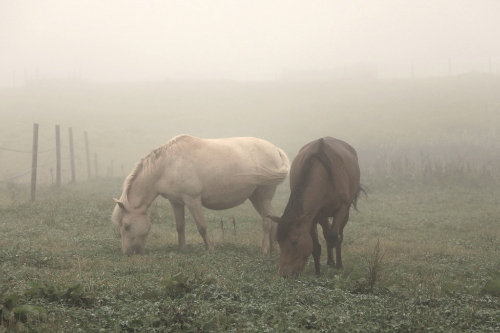 The world where is filled with the fog　４