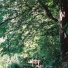 鳥居　２