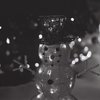 Night snowman
