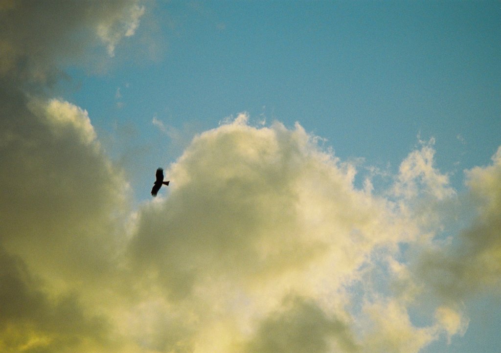 空へ…