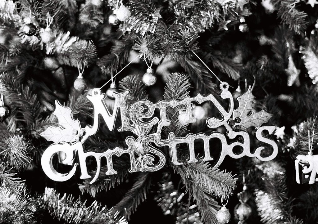 Merry　Christmas