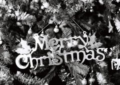 Merry　Christmas
