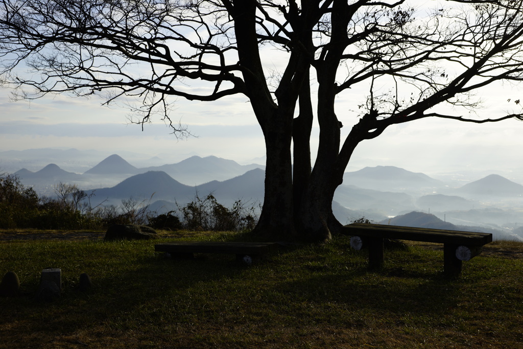 太古のような風景