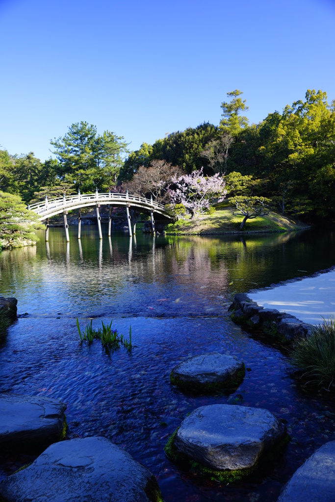 彼岸桜の咲くころ