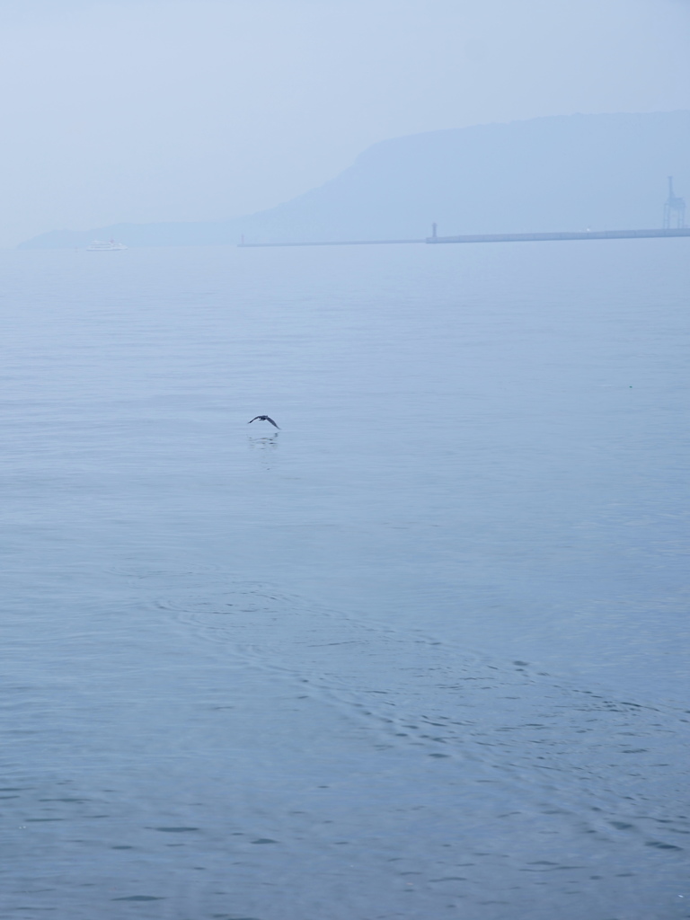 白群の海２