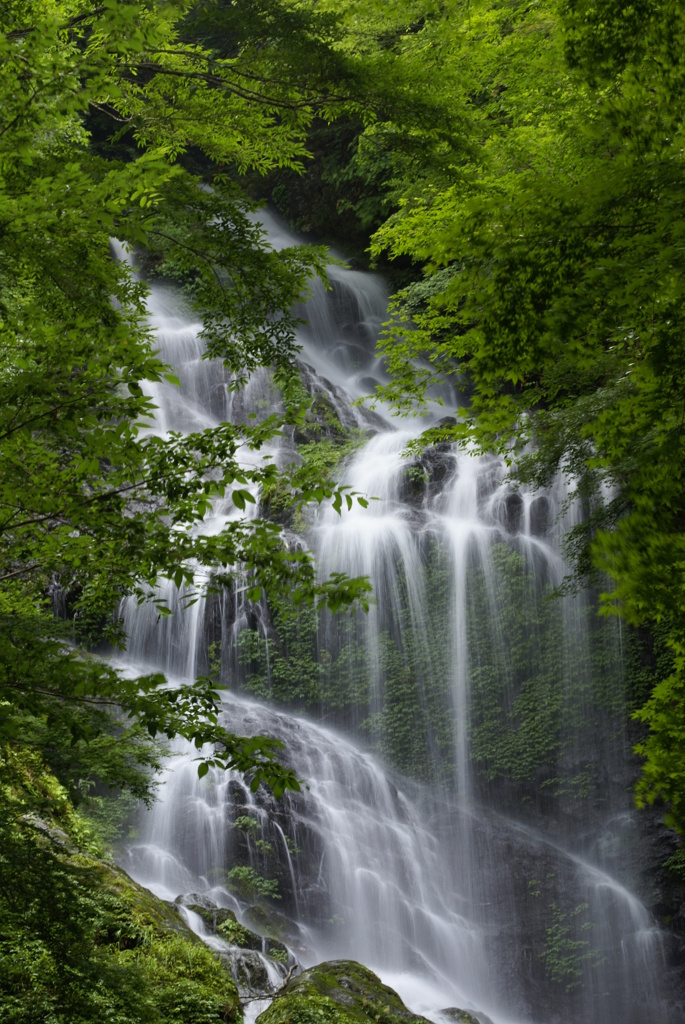 樽の滝