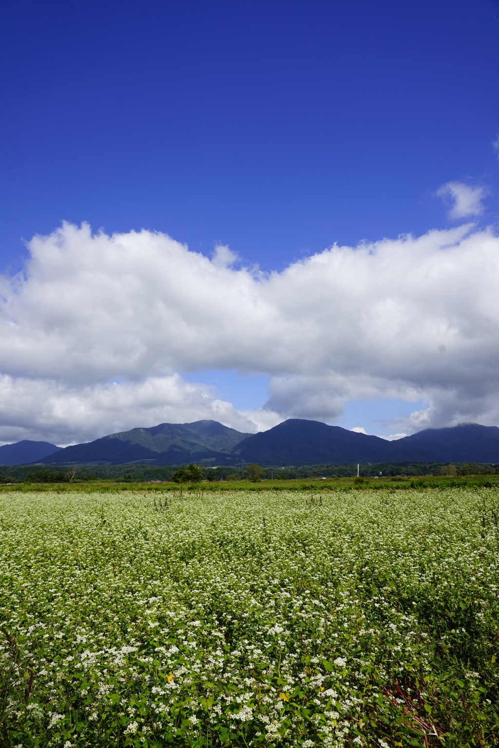 穏やかな秋の蒜山