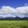 穏やかな秋の蒜山