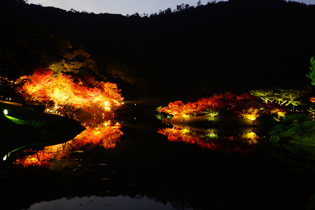 湖面に映り込み夜のもみじ