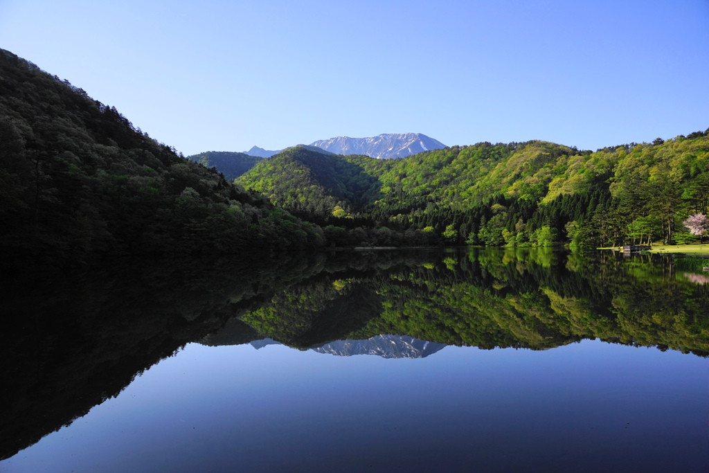 新緑水鏡