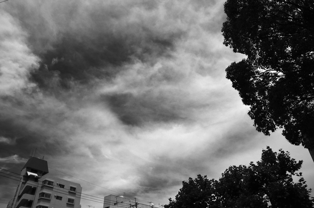 梅雨前線北上中