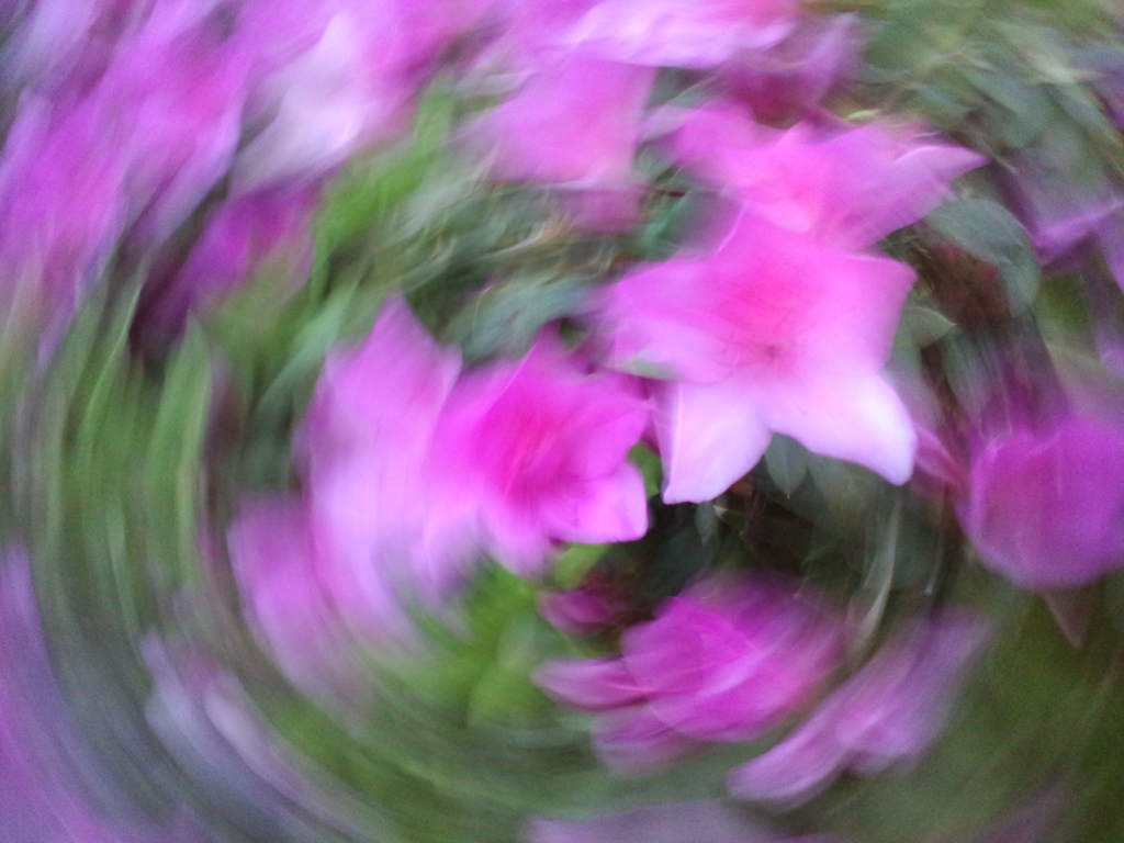 ＤＡＮＣＥ
