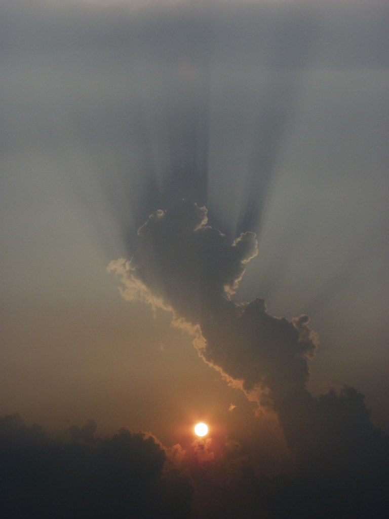 雲竜