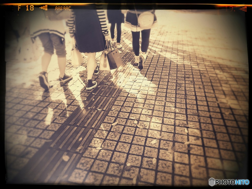 青春の足跡