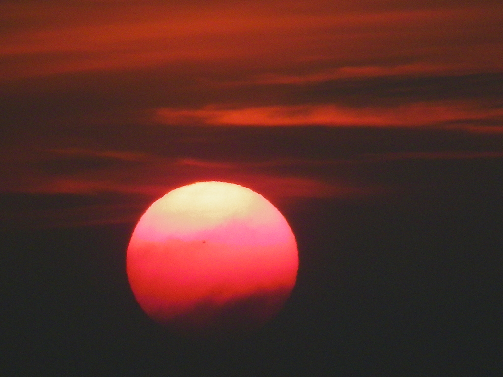 夕陽