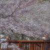 春の記憶