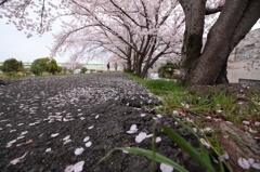 上だけじゃない