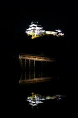 浮かぶ古城