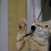 ちょー、もうええって。やめろって。
