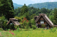 夏の白川郷２