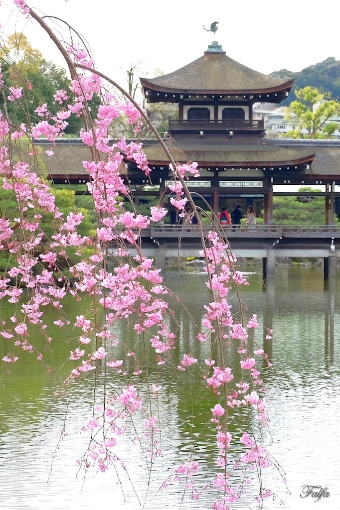 泰平閣を望む。。