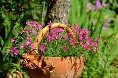 春の日の花