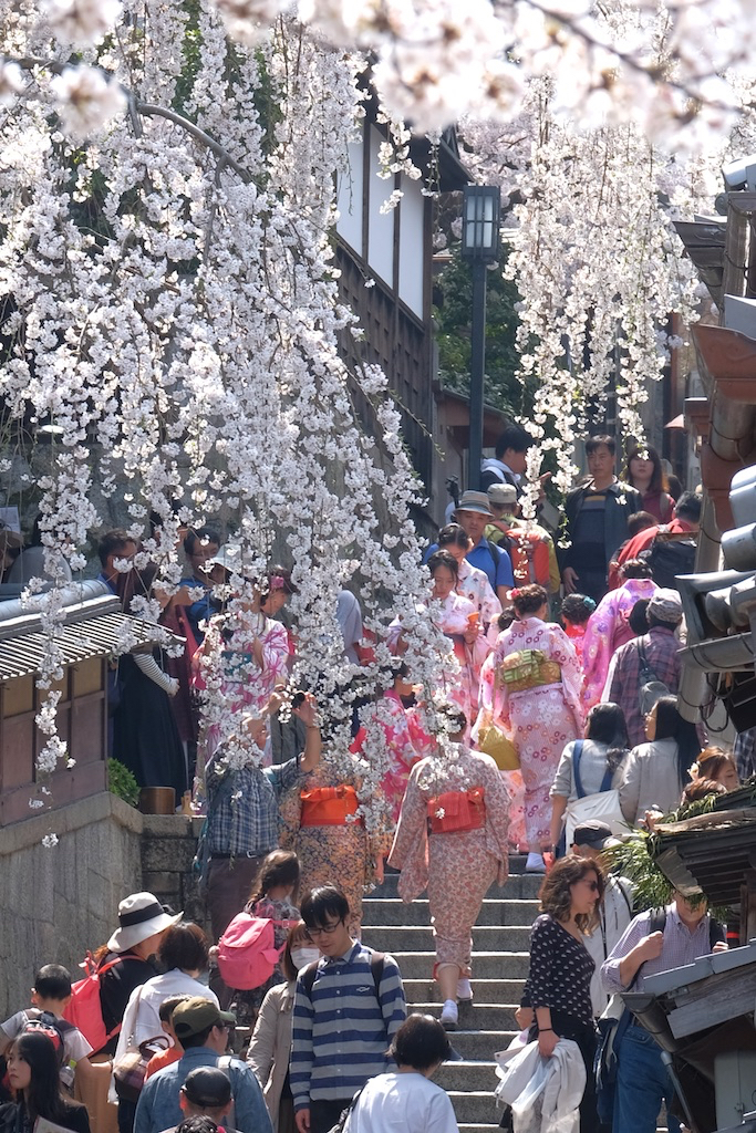 桜咲く坂道