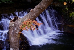 秋の小滝にて