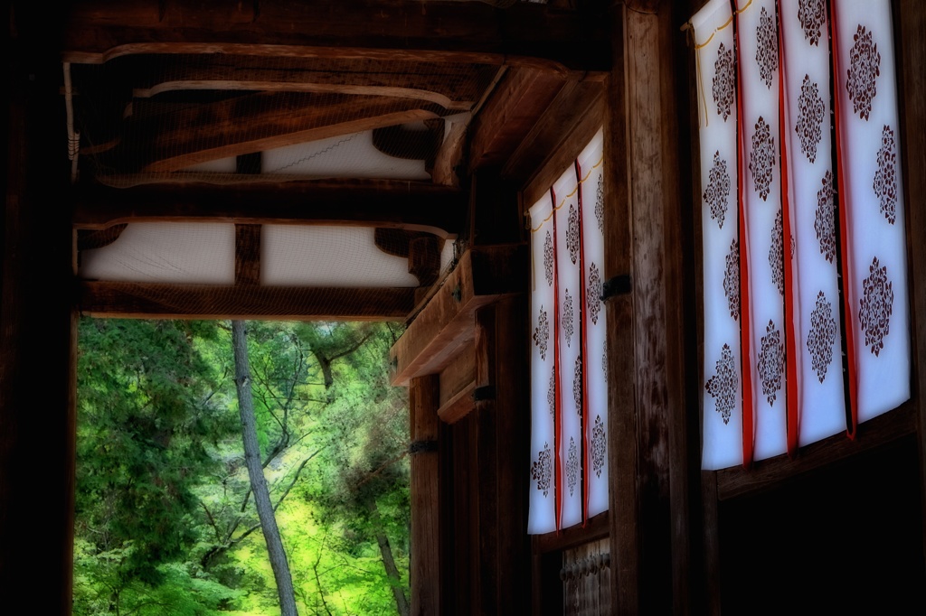 新緑の唐招提寺