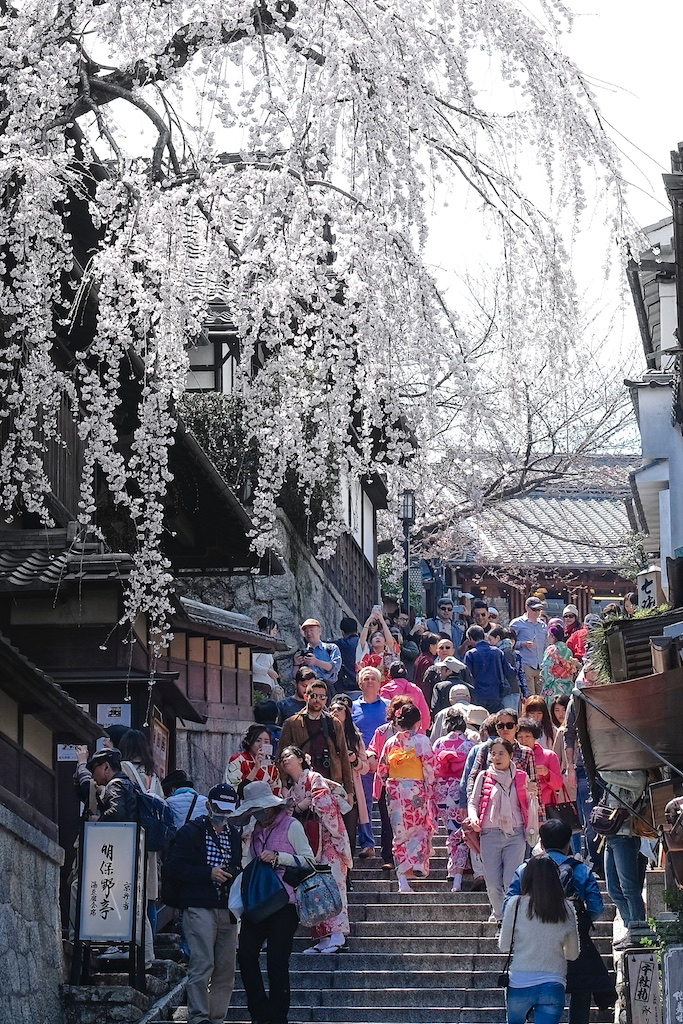 桜坂