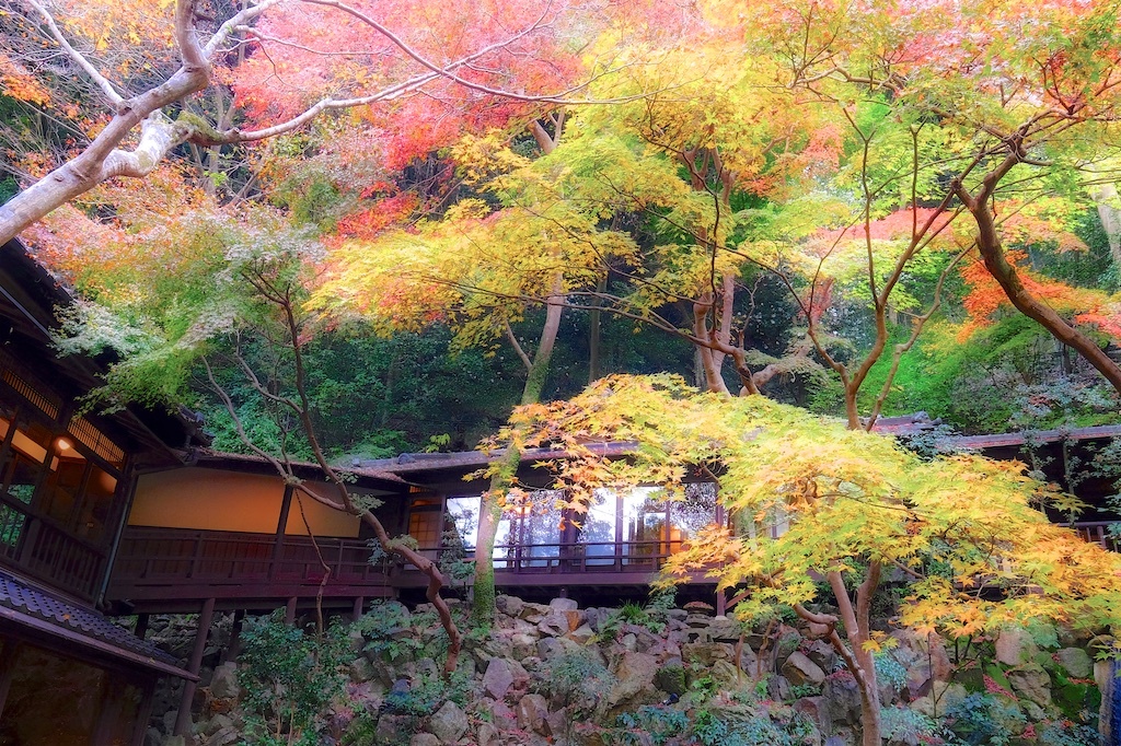 紅葉のある景色