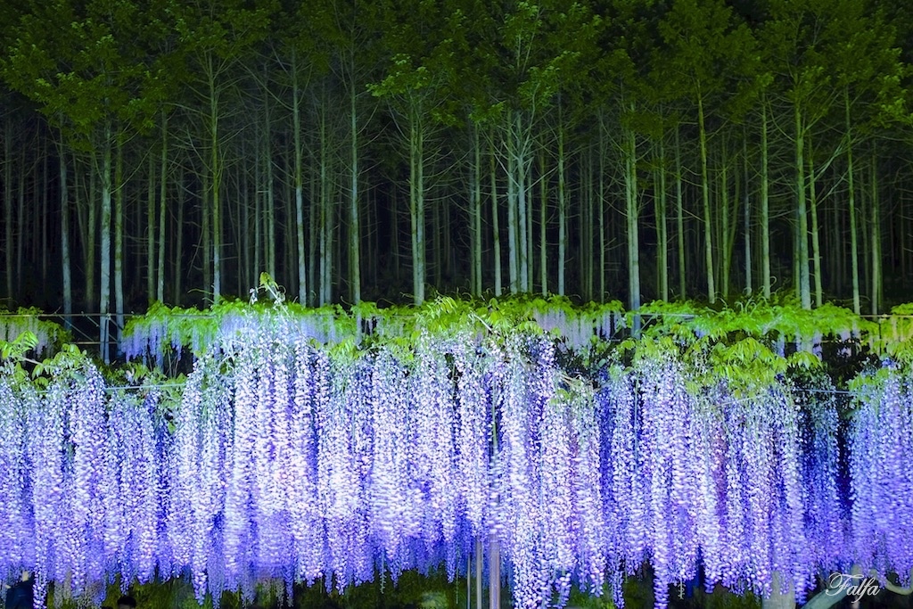 夜につつまれて