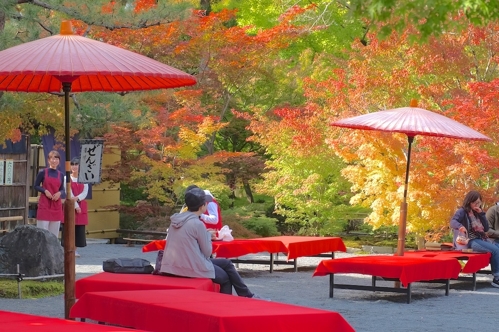 紅葉はじめました