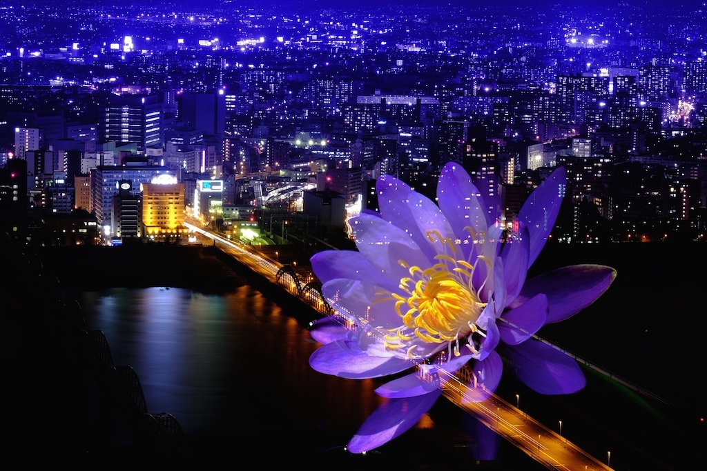 夜景に花を添えましょう。。