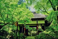 緑の常寂光寺