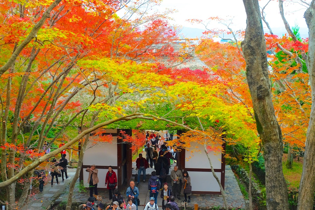 山門を飾る紅葉