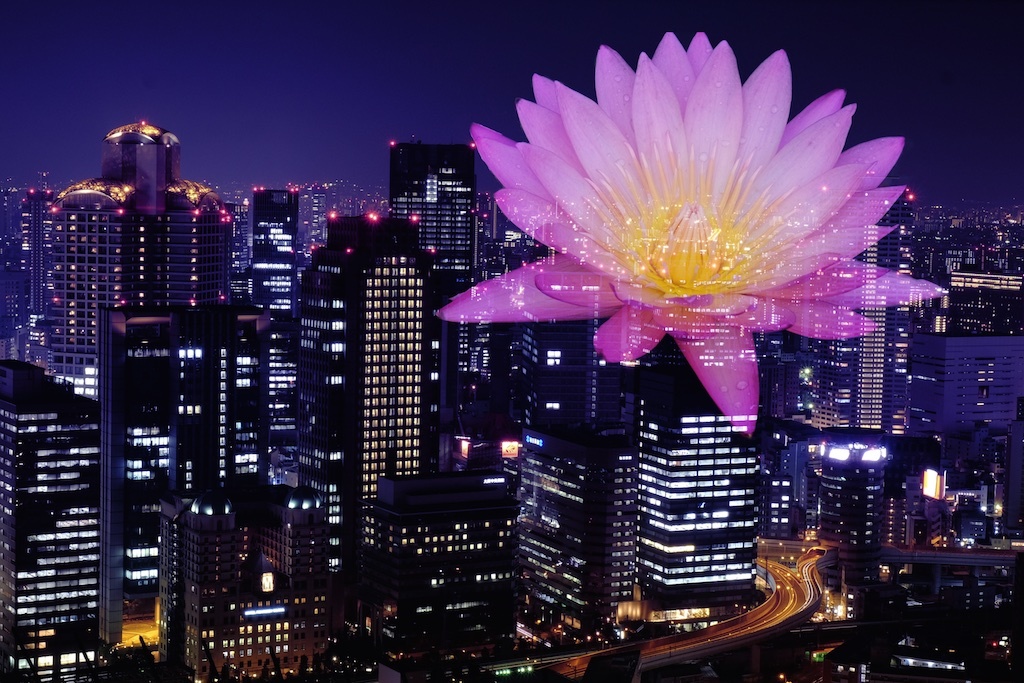 夜景に花を飾りましょう。。