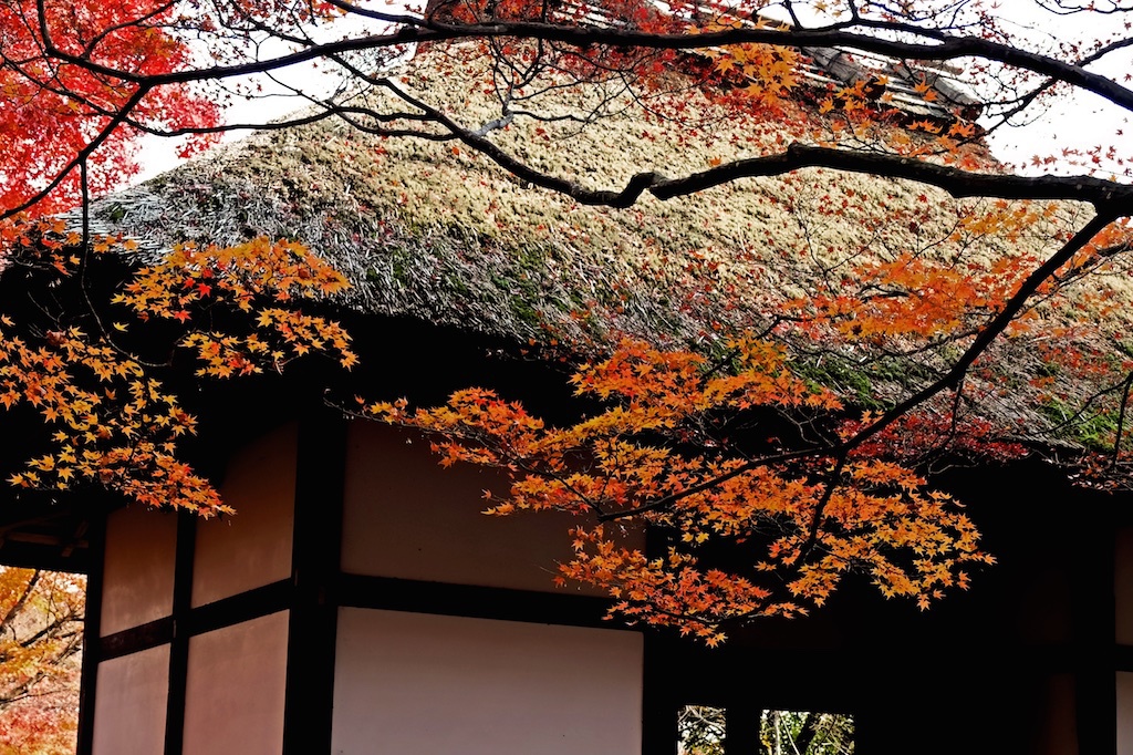 晩秋の山門