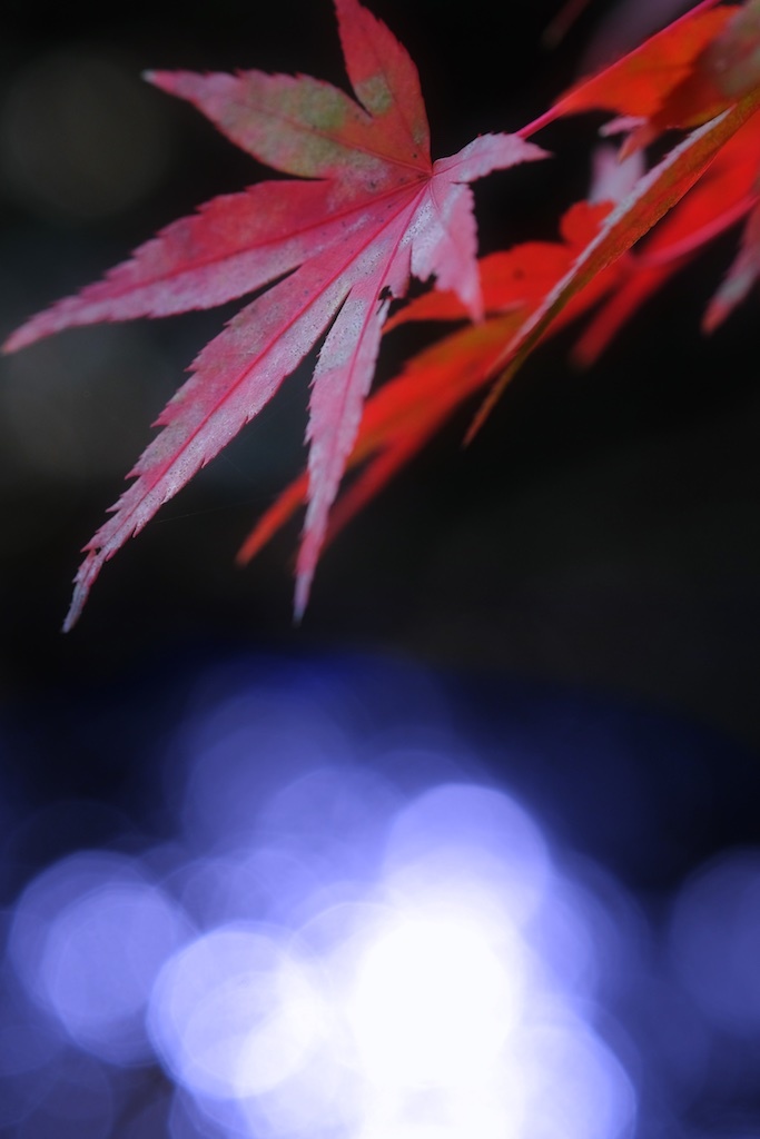 小川のせせらぎ。。