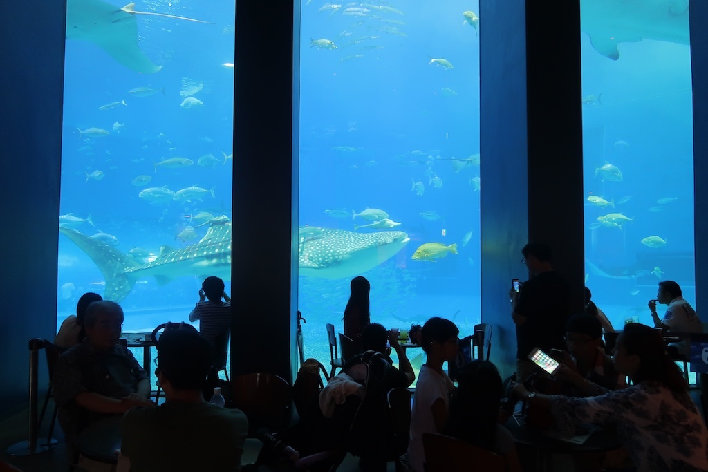 魚の見えるレストラン